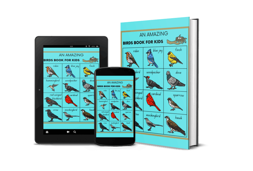 Birds Book for Kids