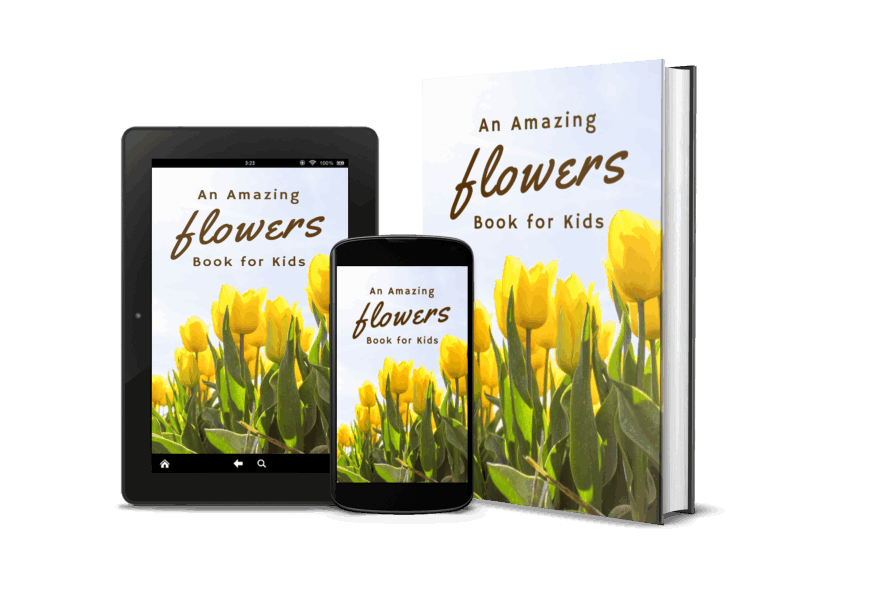 Flowers Book for Kids